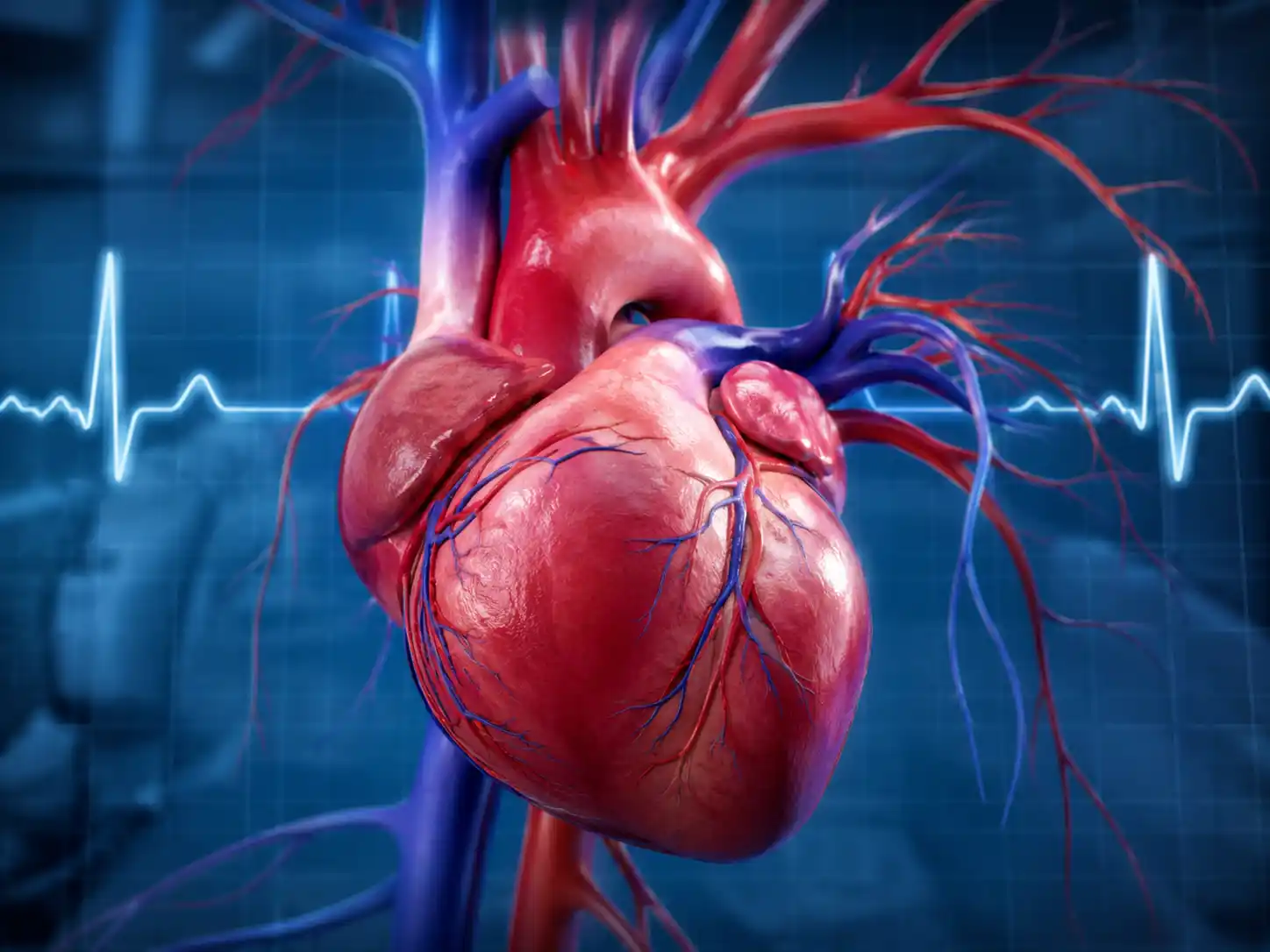 Cardiology