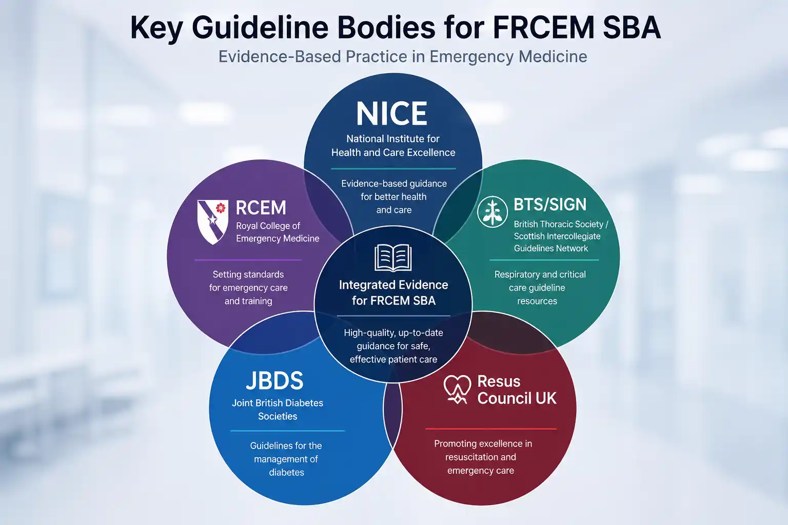 Clean visual showing NICE, RCEM, BTS/SIGN, JBDS and Resus Council UK as overlapping circles representing the guideline landscape for FRCEM